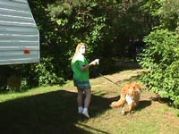 Pictures